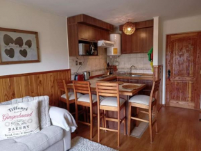 Cómodo departamento